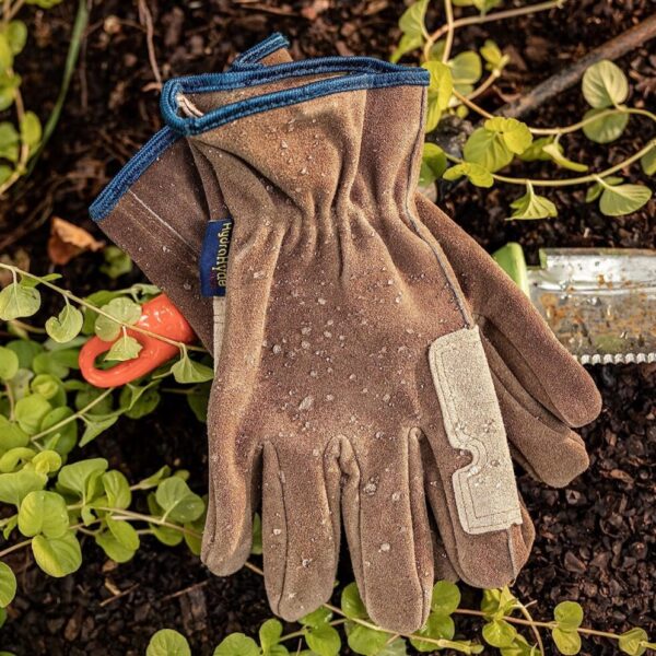 Gloves